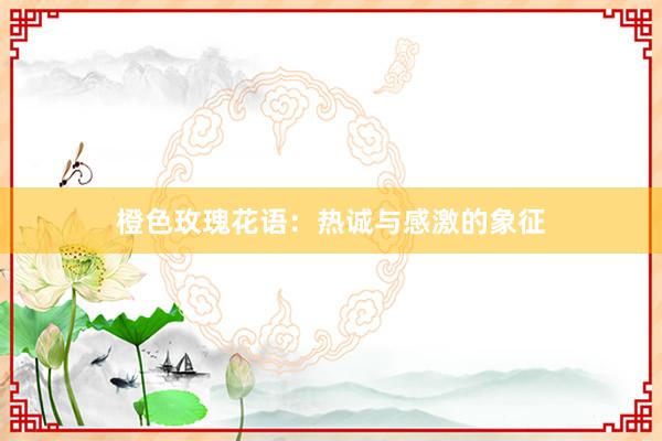 橙色玫瑰花语：热诚与感激的象征